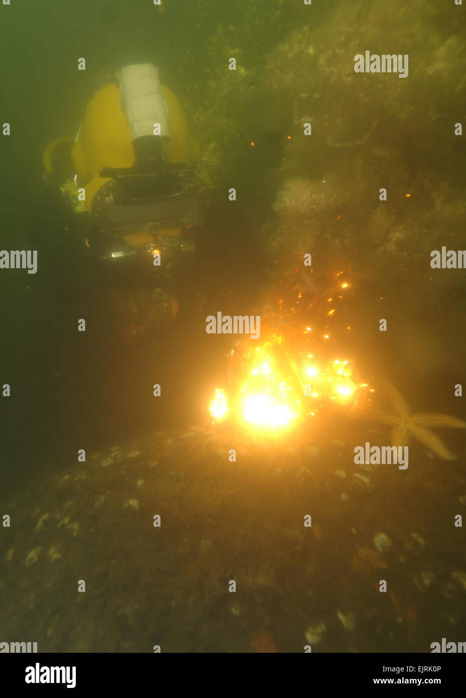 U.S. Army Spc. Paul Riedner, a diver with the 86th Engineering Dive ...