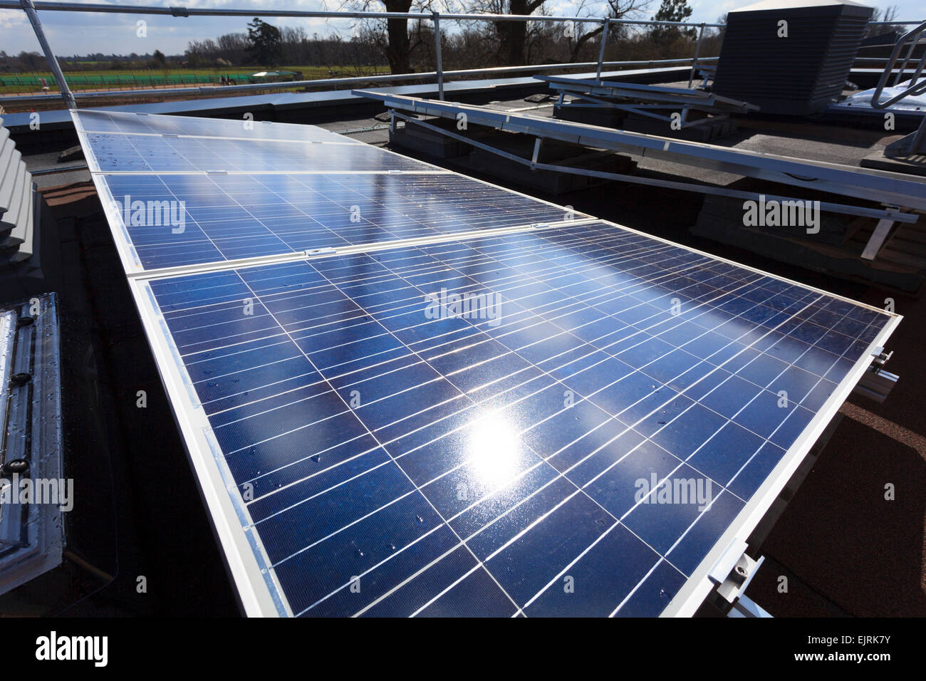 sun reflecting off photovoltaic cell  panels Stock Photo