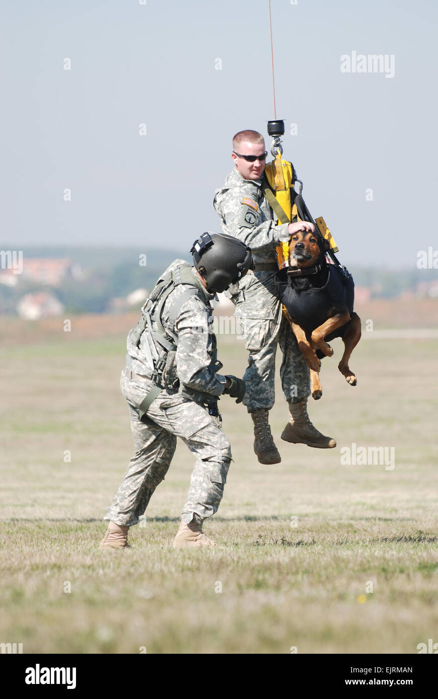 Staff Sgt. Shaun Crouse, Multi-National Task Force-East K-9 unit, and his dog, Johnson, take flight as participate in medical evacuation hoist training at Camp Bondsteel, Kosovo.  Sgt. Ty Stafford Stock Photo