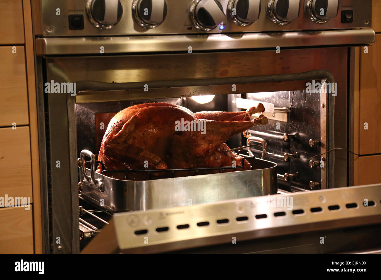 Thanksgiving turkey roasting in the oven Stock Photo Alamy