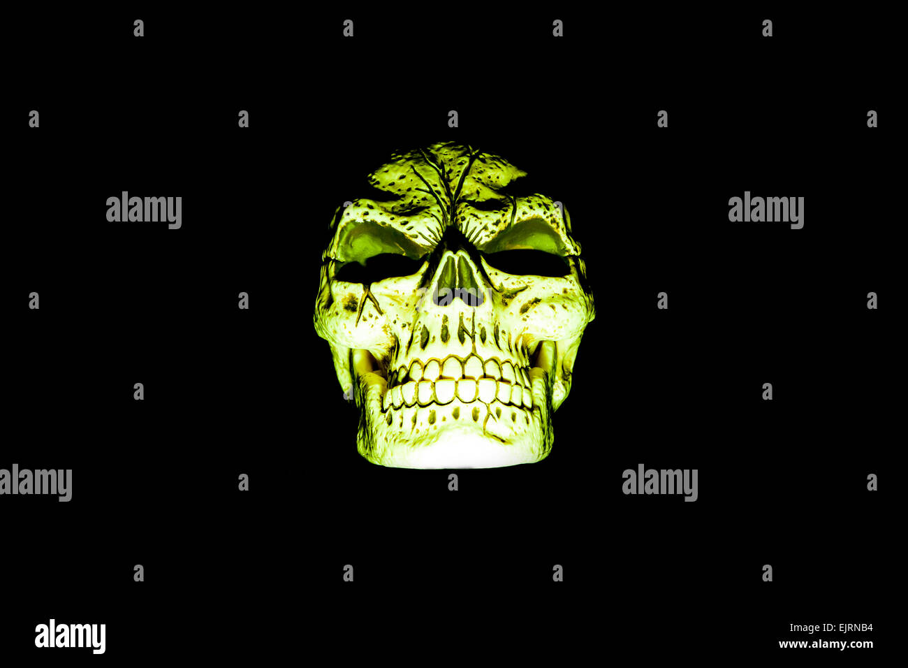 A fake green skull is isolated on a black background Stock Photo