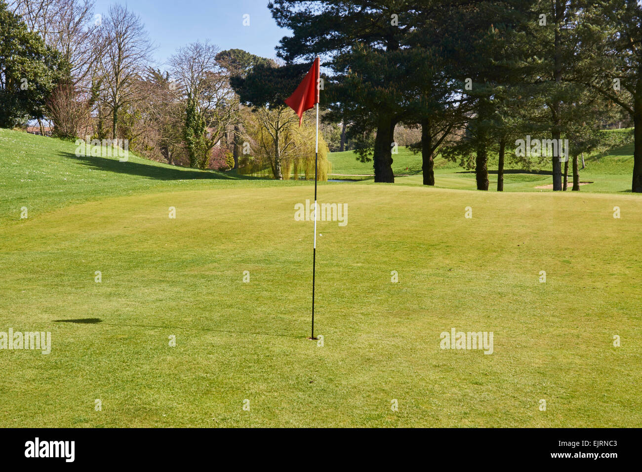 Golf Course green with pin and red flag marking the hole Stock Photo