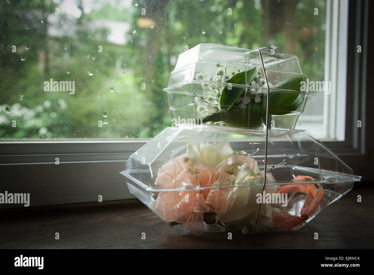 A prom corsage and boutonnière rest on a windowsill; you can see the raindrops on the window behind them Stock Photo