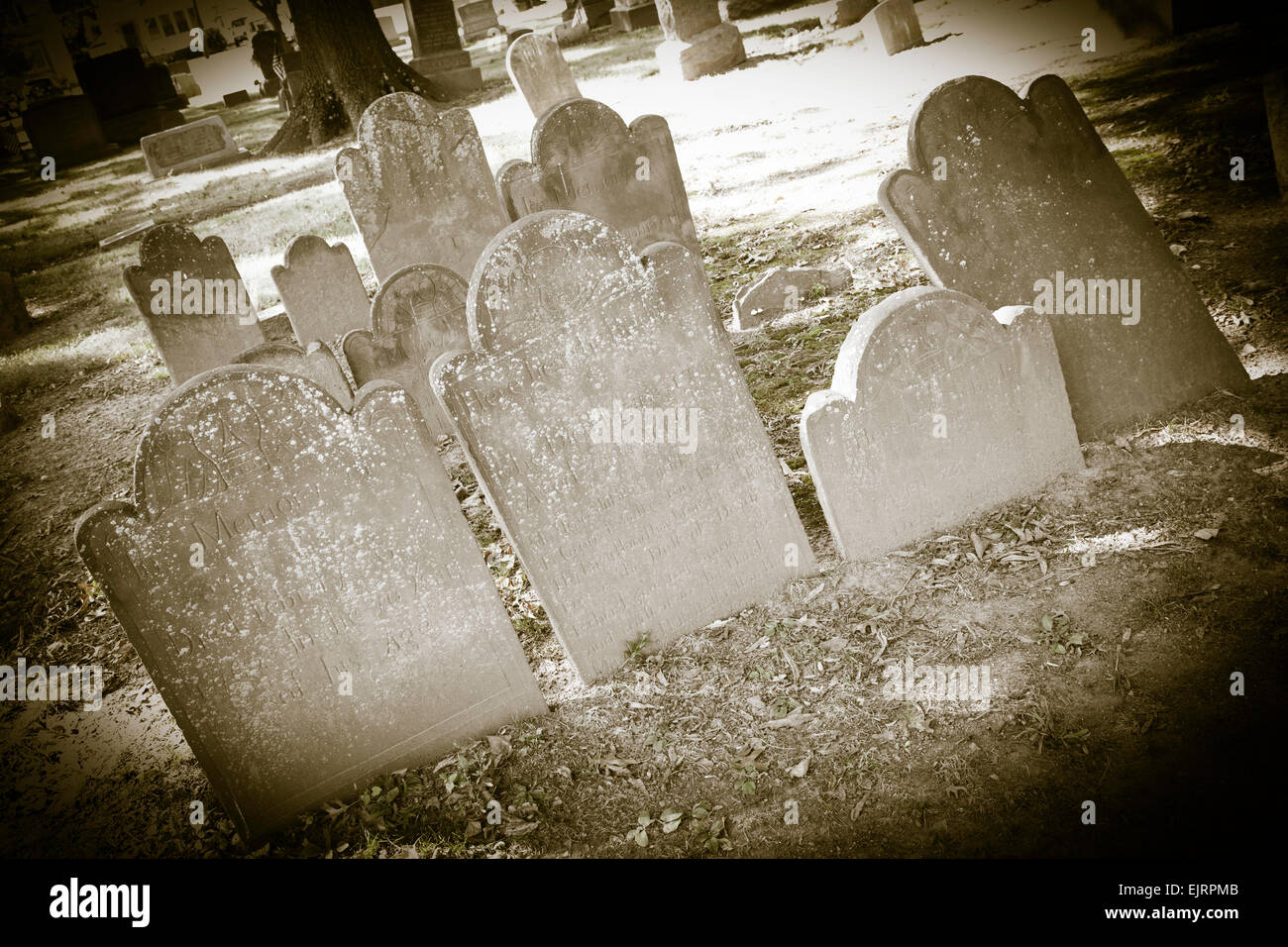 Closeups of old tombstones in a very old cemetery; photo done in