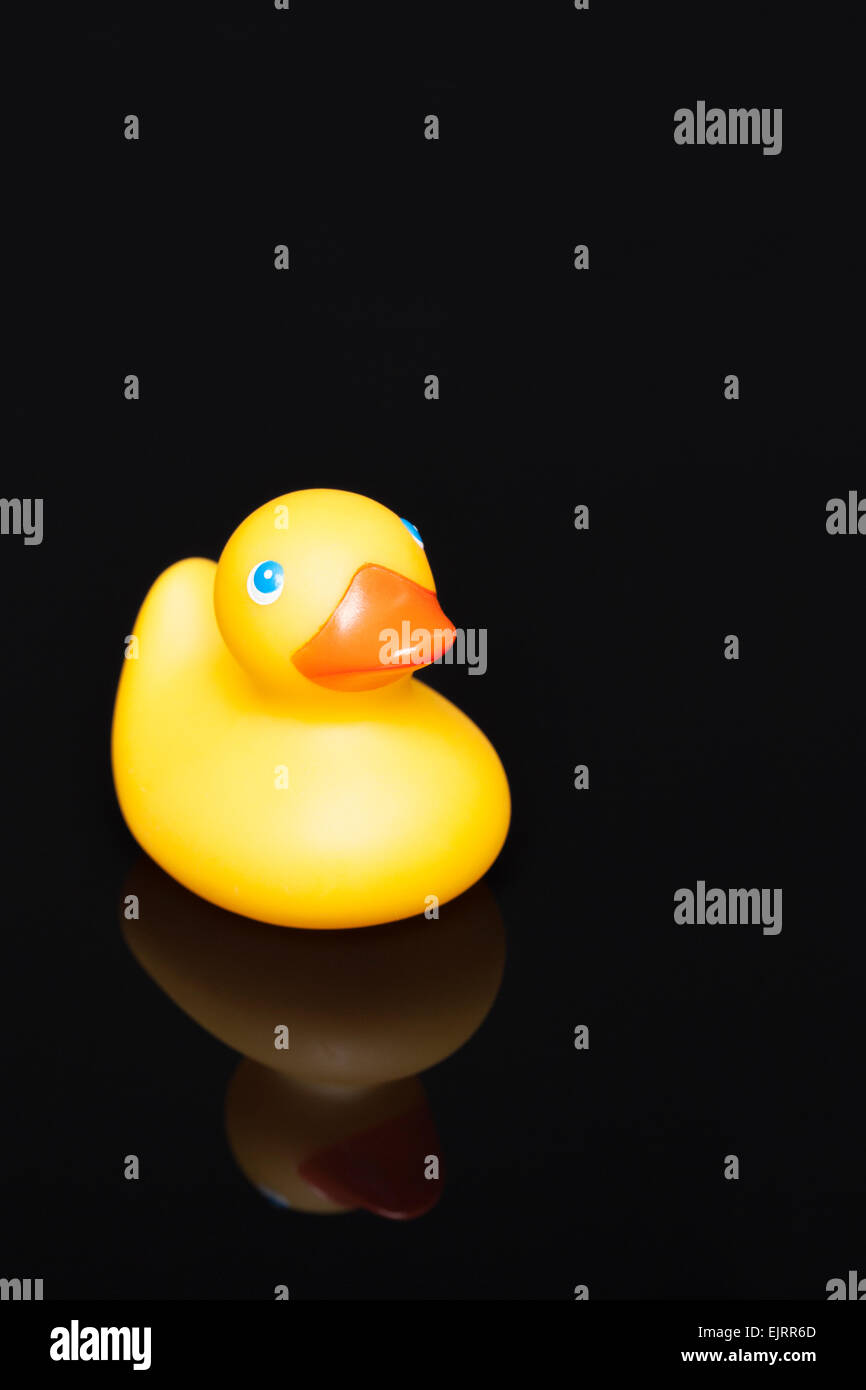 A yellow rubber duckie is reflected on a shiny black surface Stock Photo