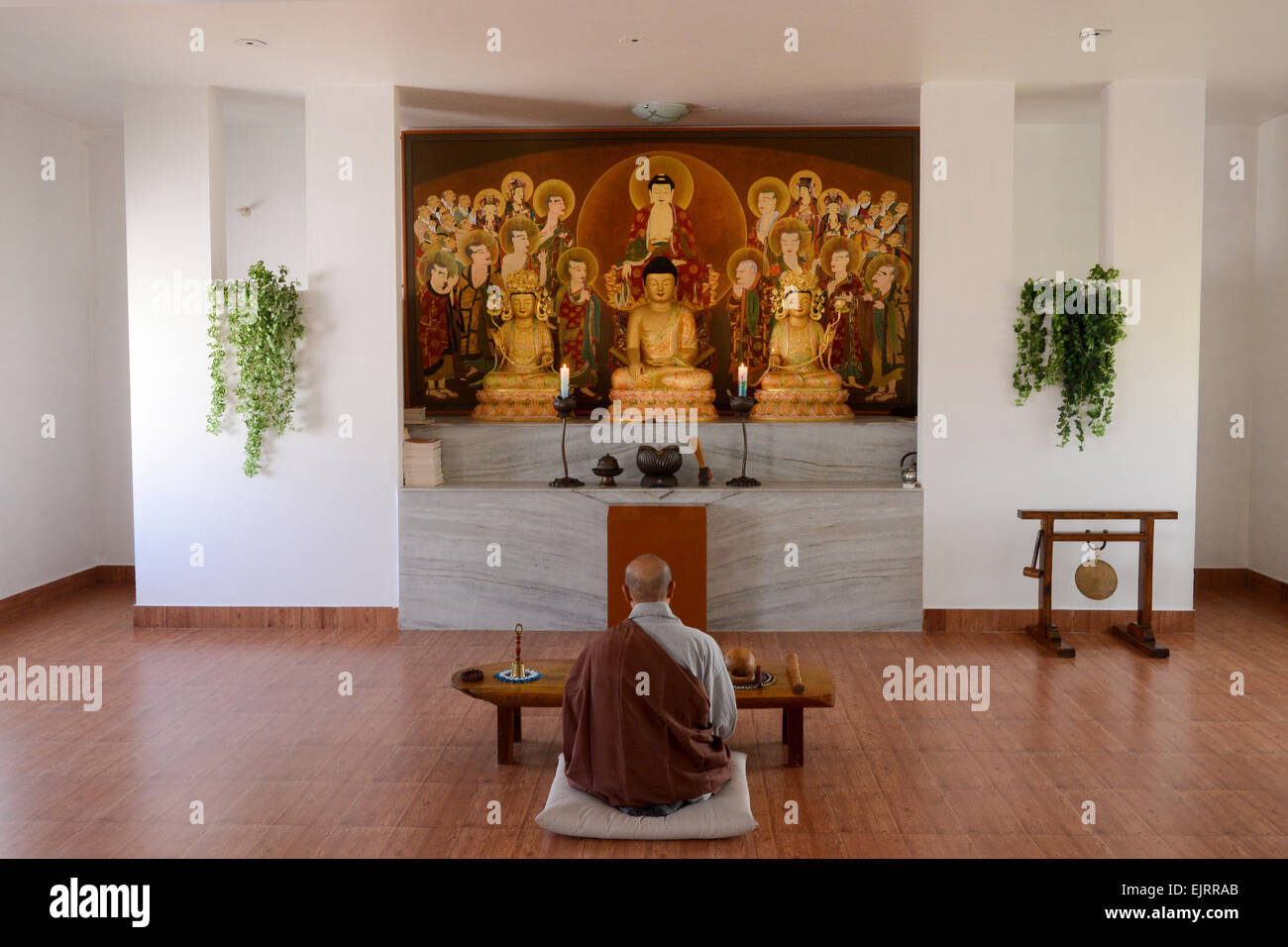 Korean monk meditating at a Korean temple in Sravasti Stock Photo