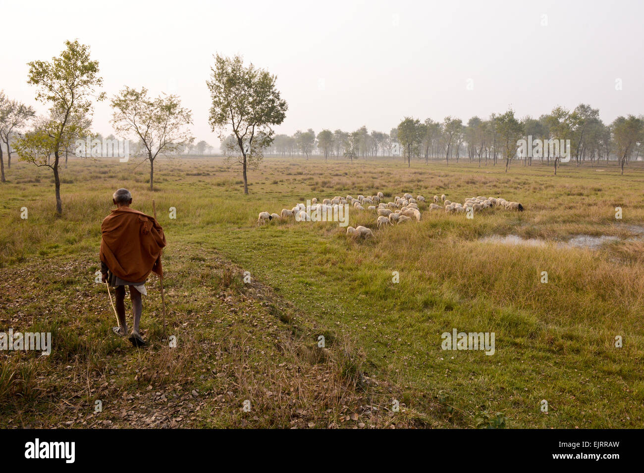 A shepherd in Lumbini, the place of Buddha's birth. Stock Photo