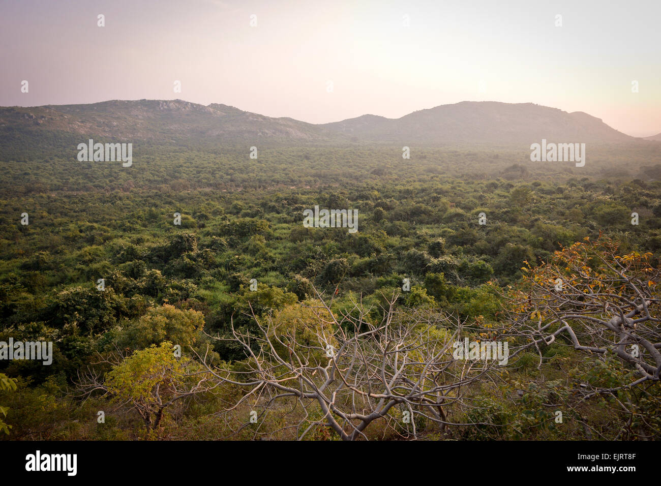 Loacation of the ancient city of Rajgir Stock Photo