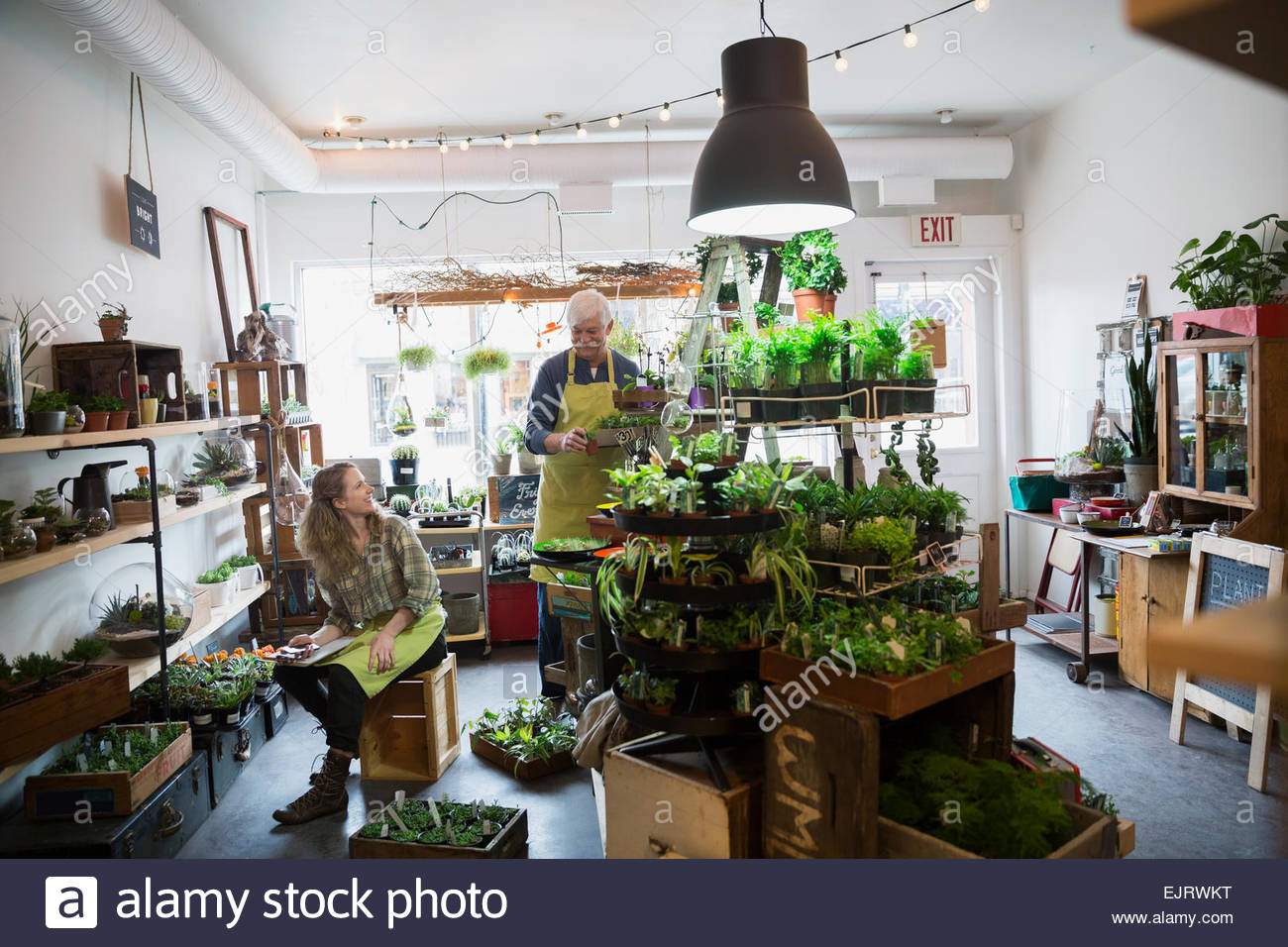 Terrarium shop owners working Stock Photo Alamy