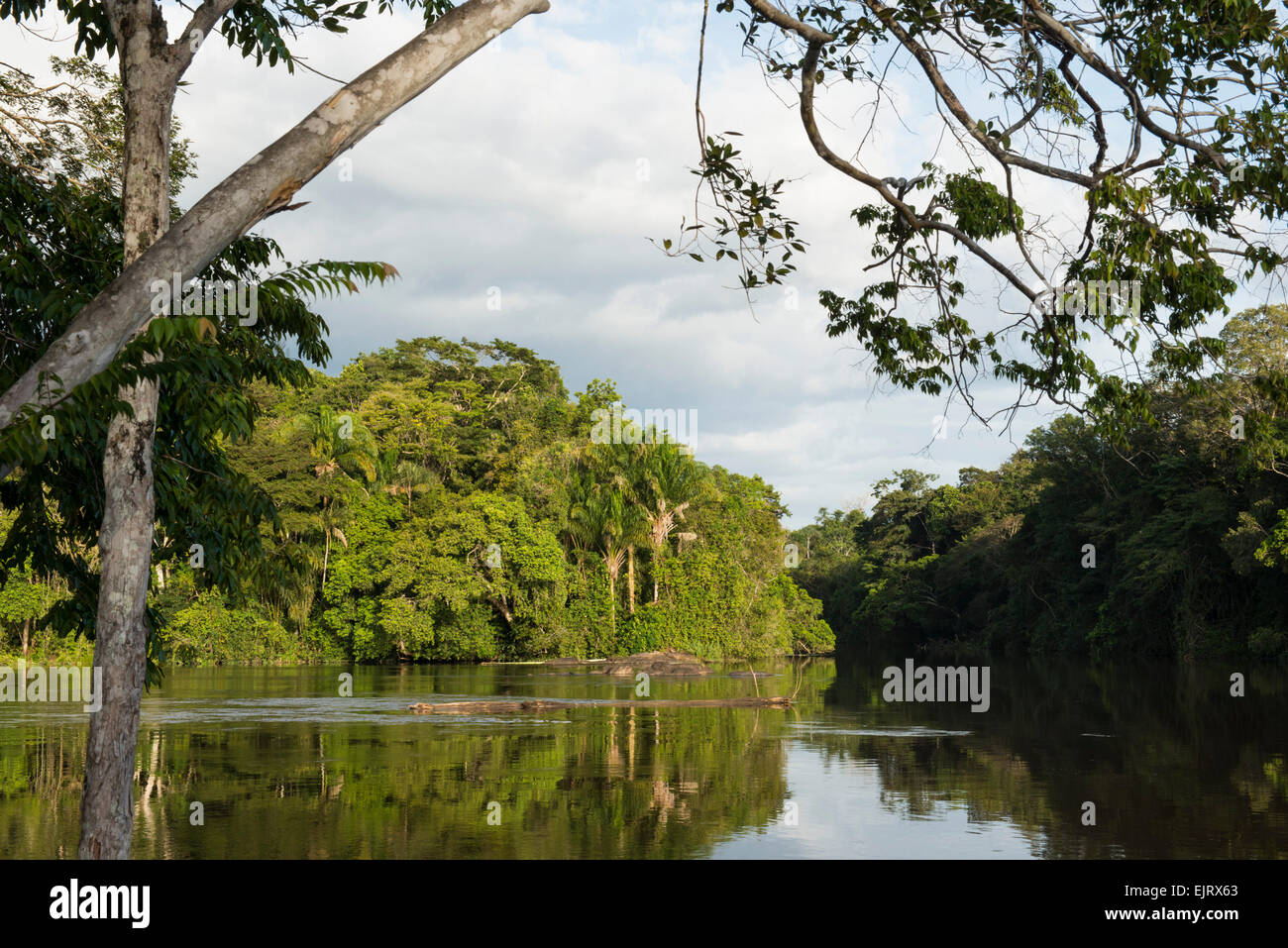 The Upper Suriname River, Suriname Stock Photo