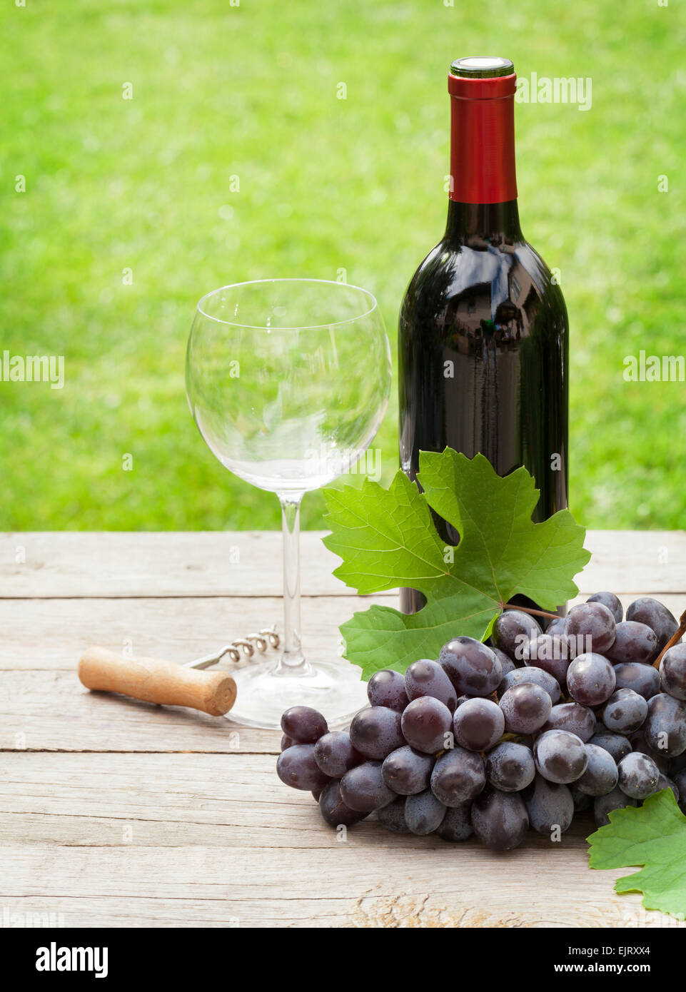 Red wine glass and bottle with bunch of grapes in sunny garden Stock ...