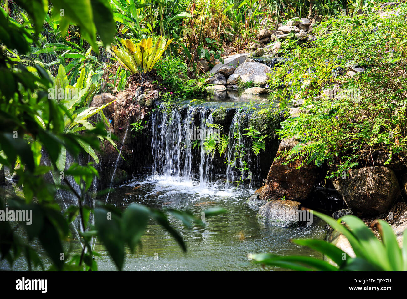 Waterfall in Phuket Butterfly Garden, Thailand Stock Photo Alamy