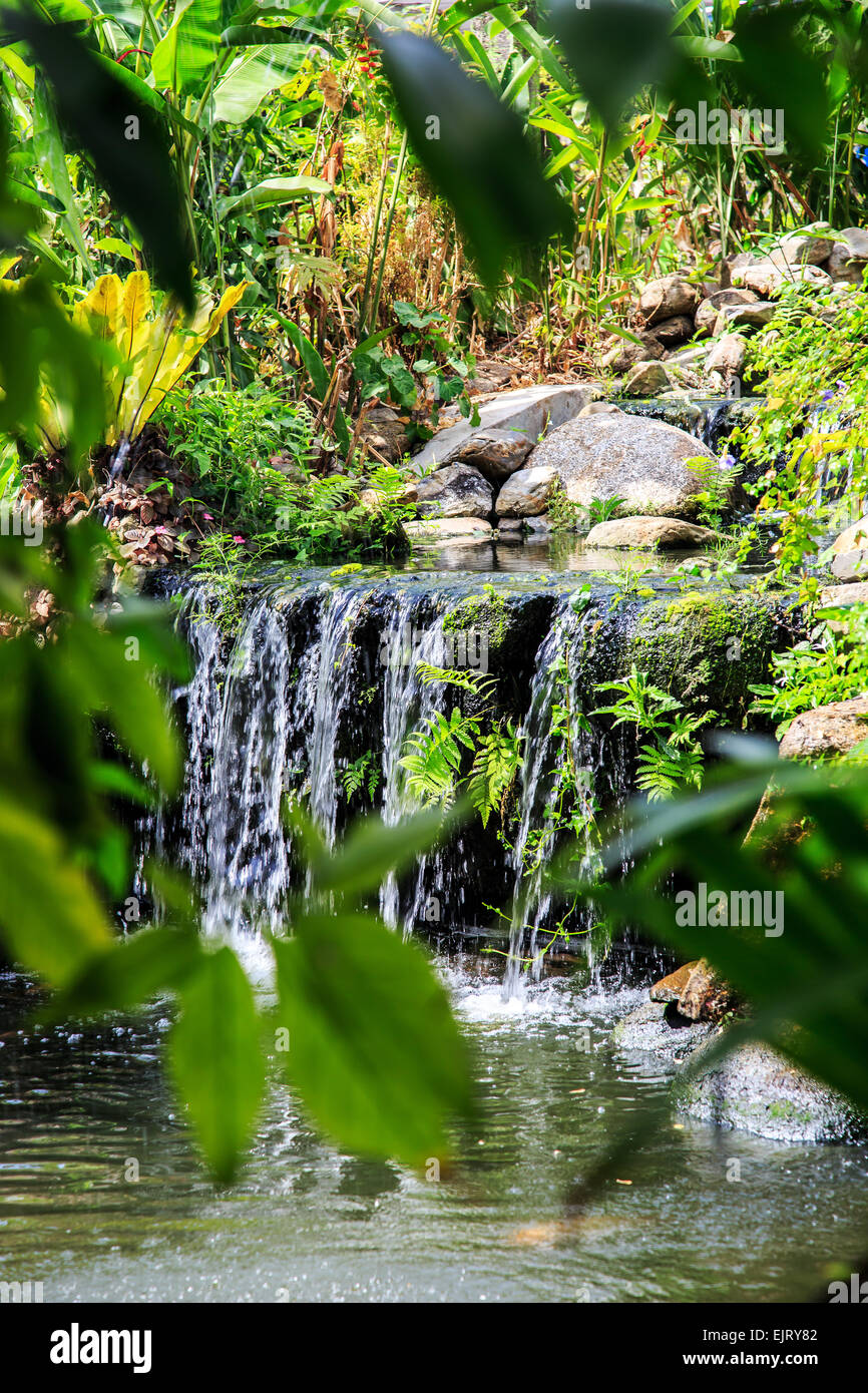 Waterfall in Phuket Butterfly Garden, Thailand Stock Photo Alamy