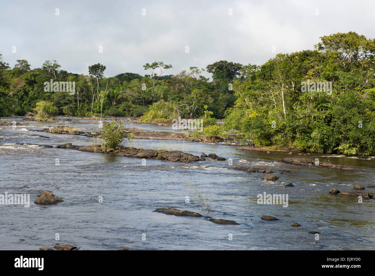 Rapids on the Upper Suriname River, Suriname Stock Photo