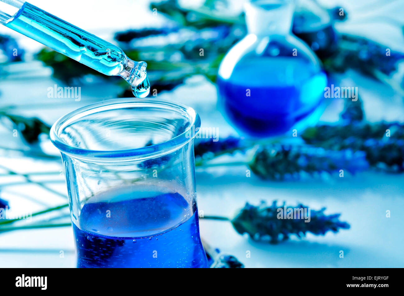 closeup of a pipette and a flask with flower essence and a pile of lavender flowers in the background Stock Photo