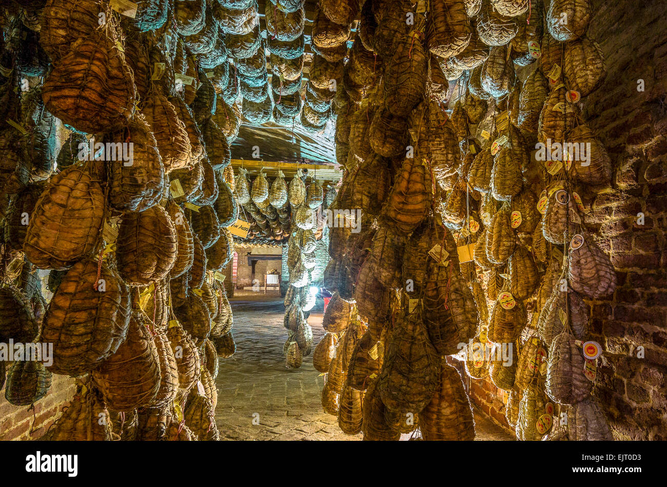 Polesine Parmense, the cellars for the aging of salted pork in the Antica Corte Pallavicina Relais Stock Photo