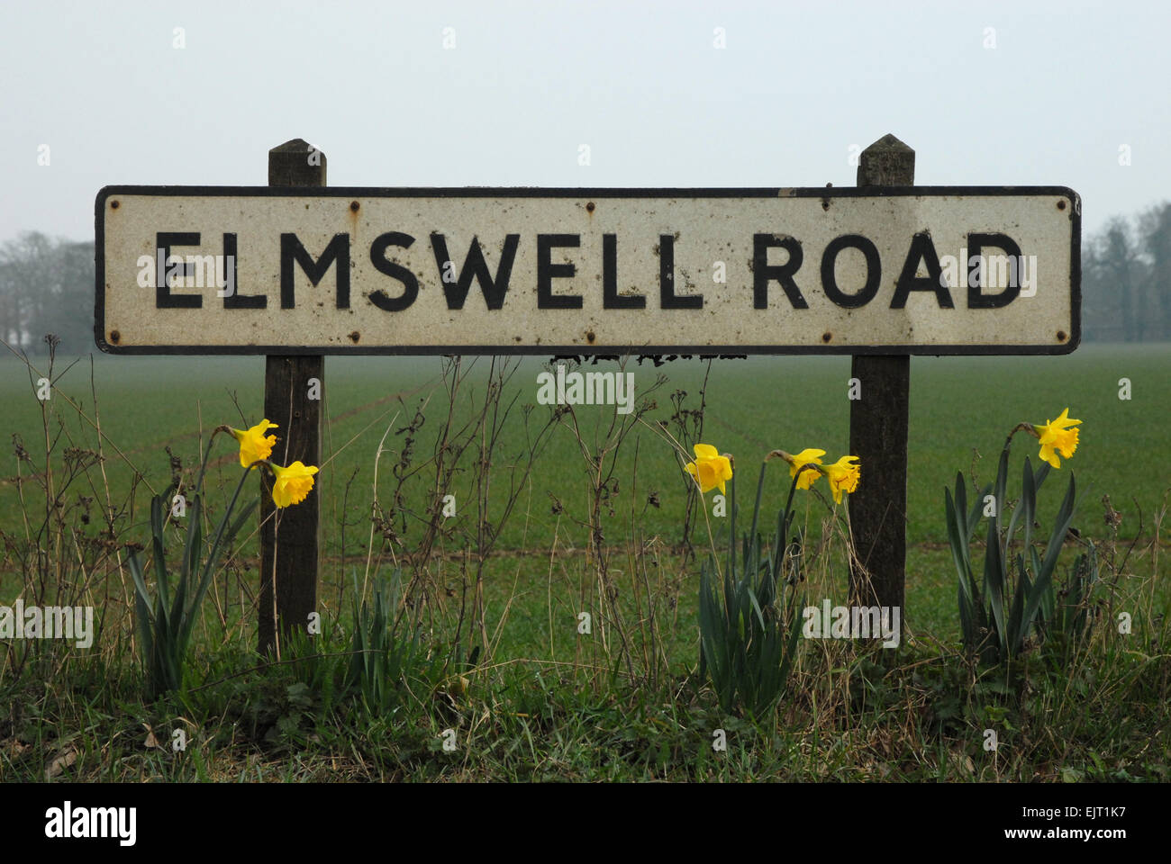 road name with daffodils Stock Photo