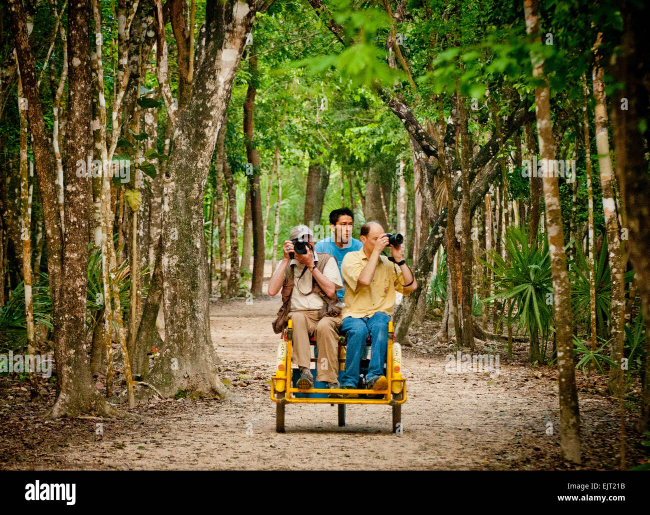 Tourists enjoy the bici-taxi in the lush forest on the 'sacbe' (white road) to the Maya ruins of Coba, Yucatan Peninsula, Quinta Stock Photo