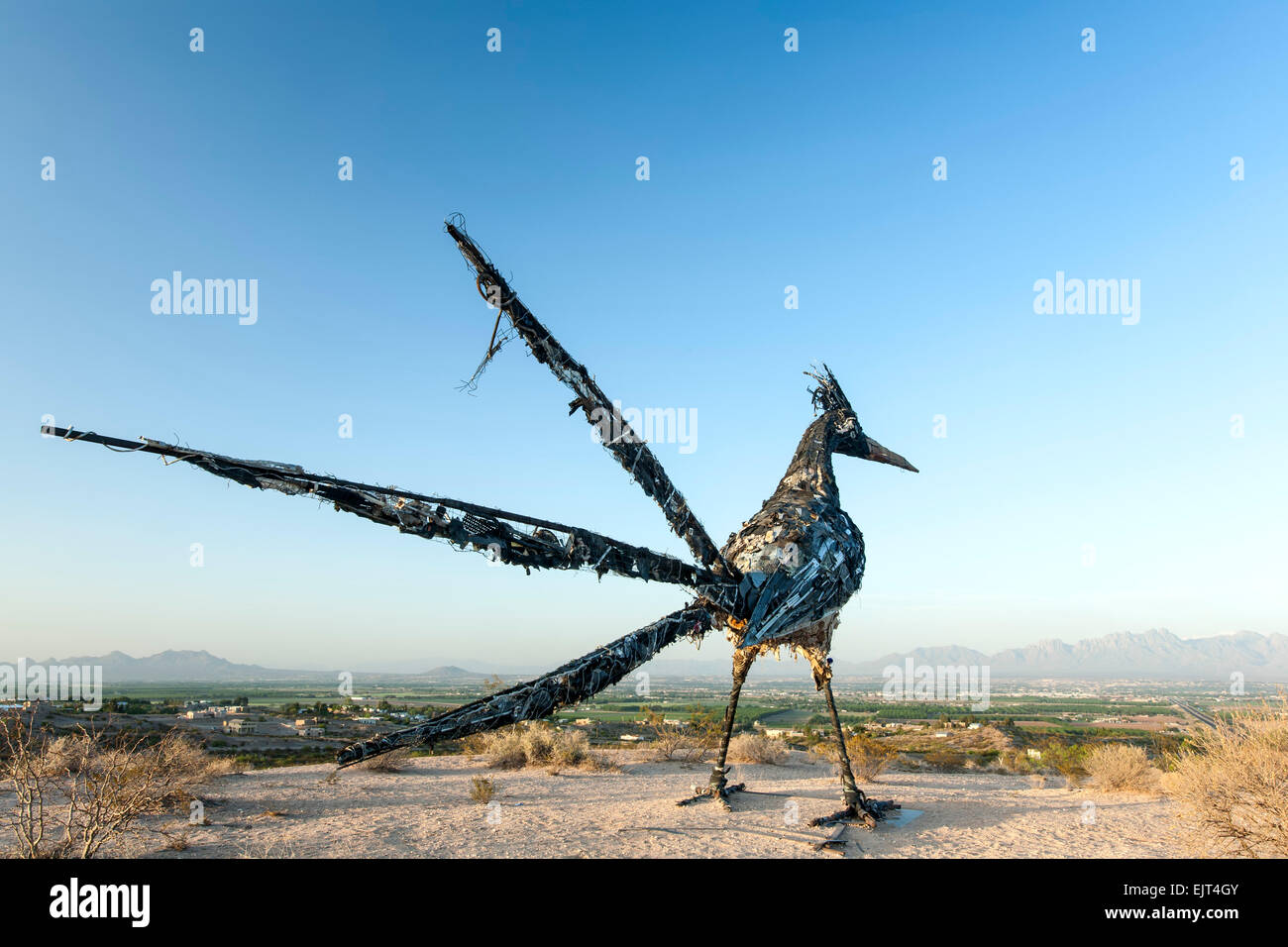 Sculpture Of Roadrunner New Mexico State Bird And Organ Mountains In 