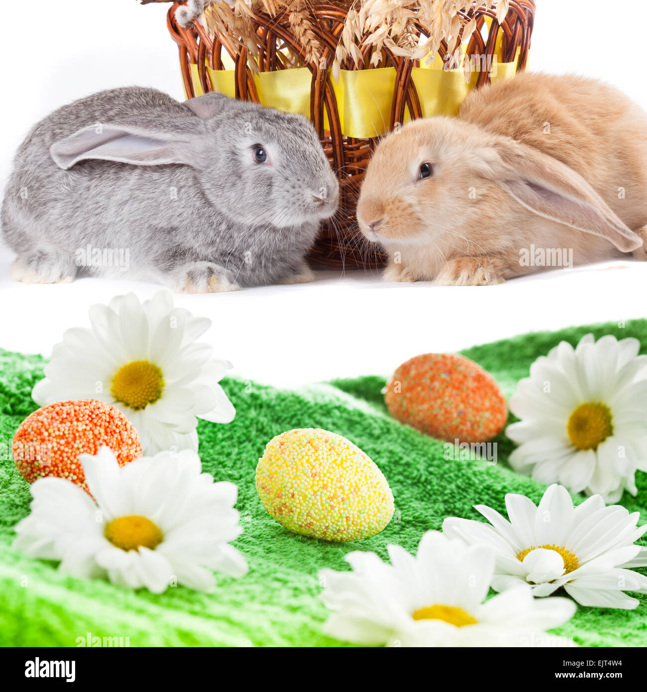 Easter eggs on meadow with daisies and bunnies Stock Photo - Alamy
