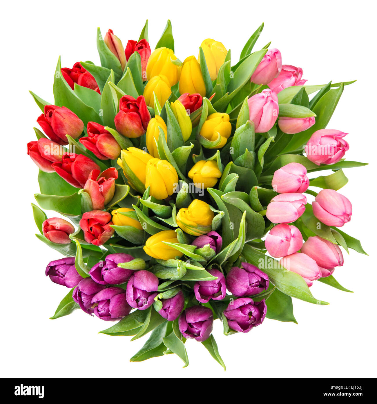 Bouquet of fresh spring tulip flowers isolated on white background. Top ...