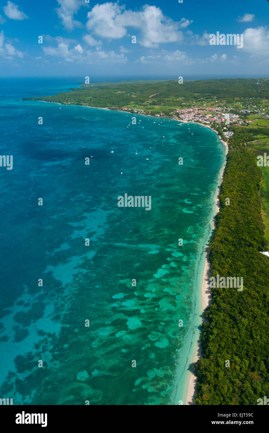 France. Guadeloupe, MarieGalante island, south of Saint Louis, Cocoyer