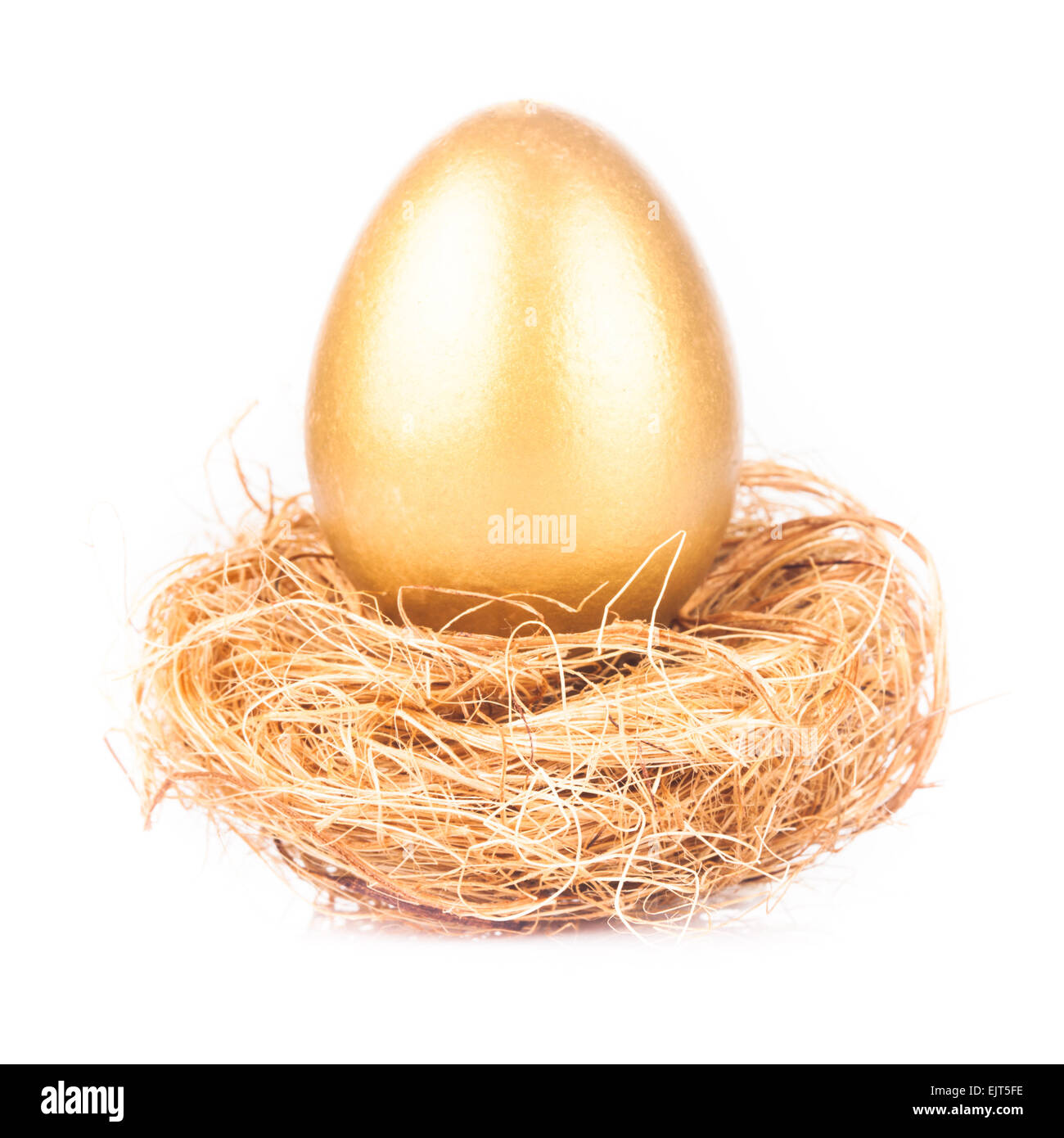 One golden eggs in the nest isolated on white Stock Photo - Alamy