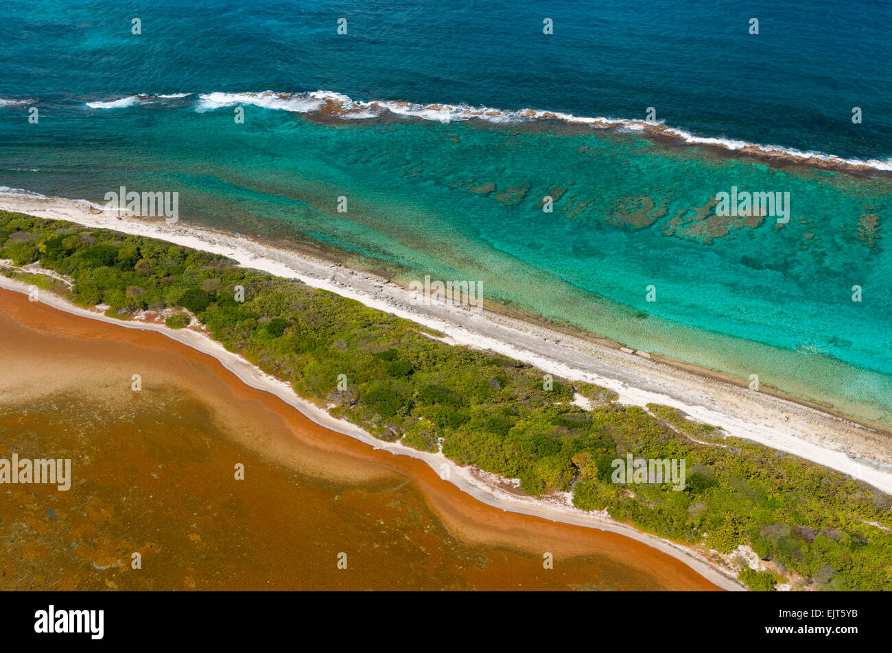 France. Guadeloupe, Pointe des Chateaux, Grande Saline salt marsh and lagon (aerial view)  // Guadeloupe, Pointe des Chateaux, G Stock Photo