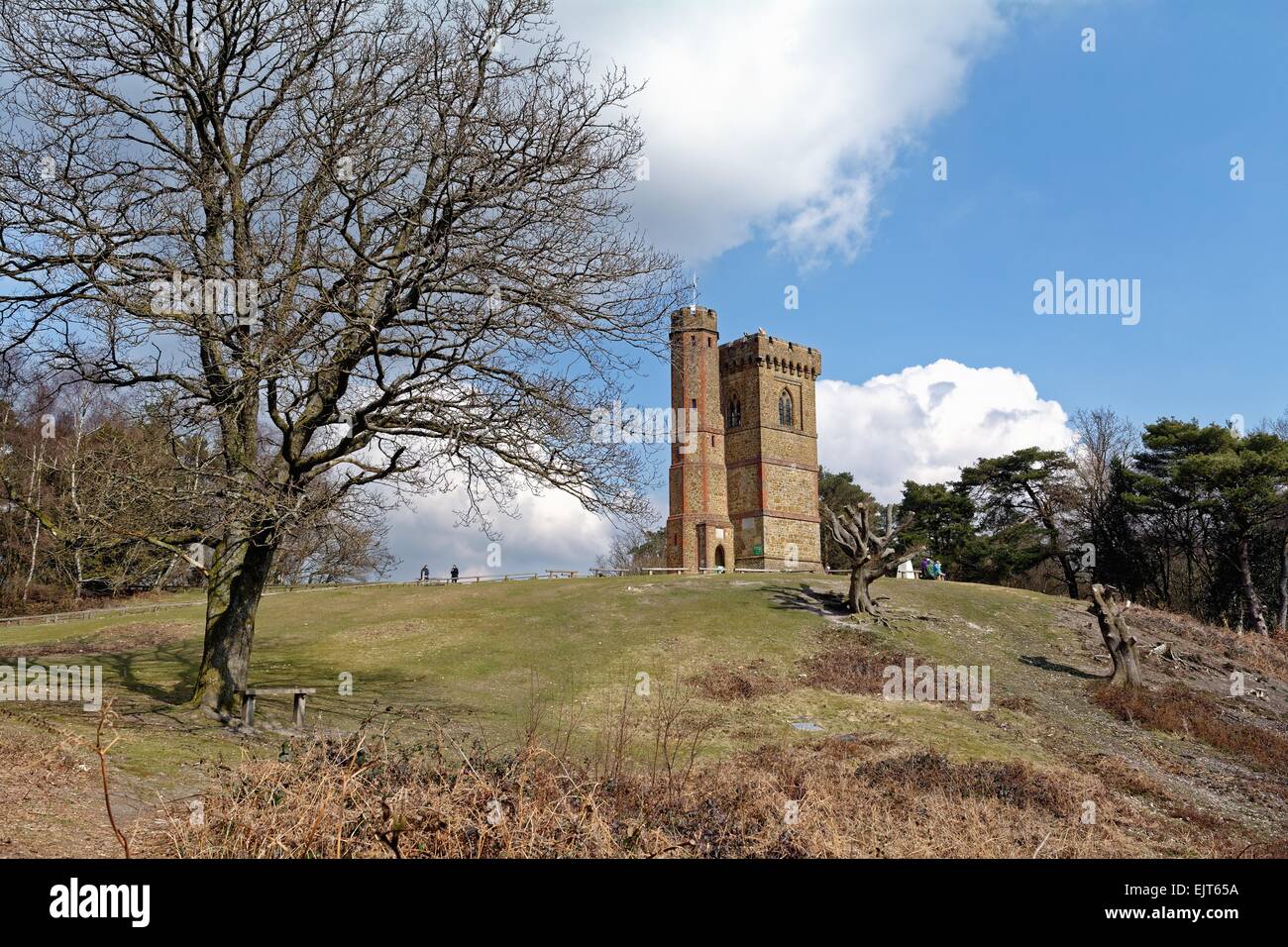 Leith Hill tower Surrey Hills Dorking U.K Stock Photo Alamy