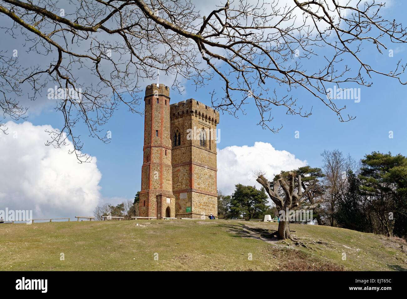 Leith Hill tower Surrey Hills Dorking U.K Stock Photo Alamy