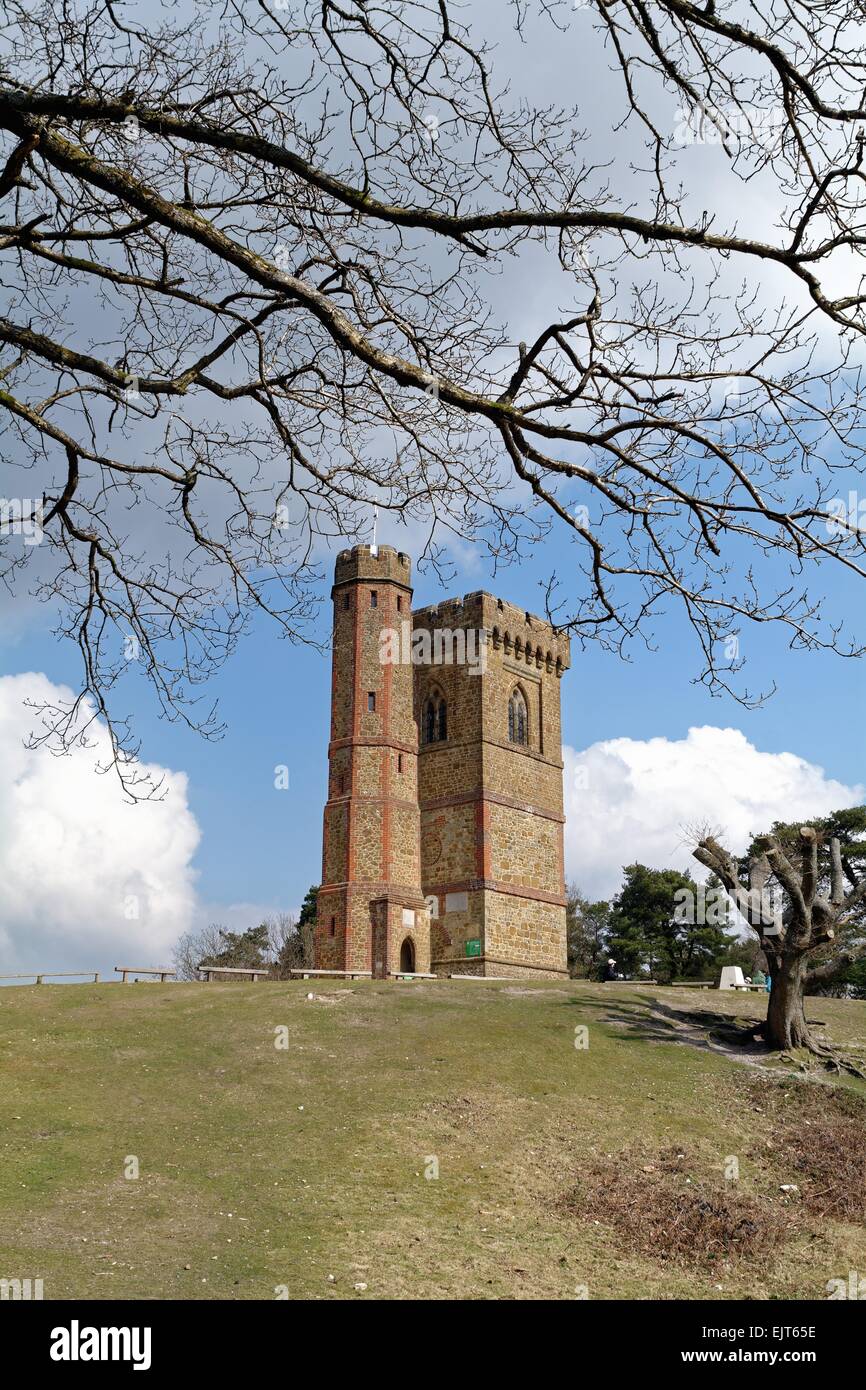 Leith Hill tower Surrey Hills Dorking U.K Stock Photo Alamy