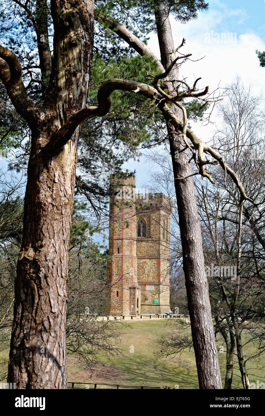 Leith Hill tower Surrey Hills Dorking U.K Stock Photo Alamy