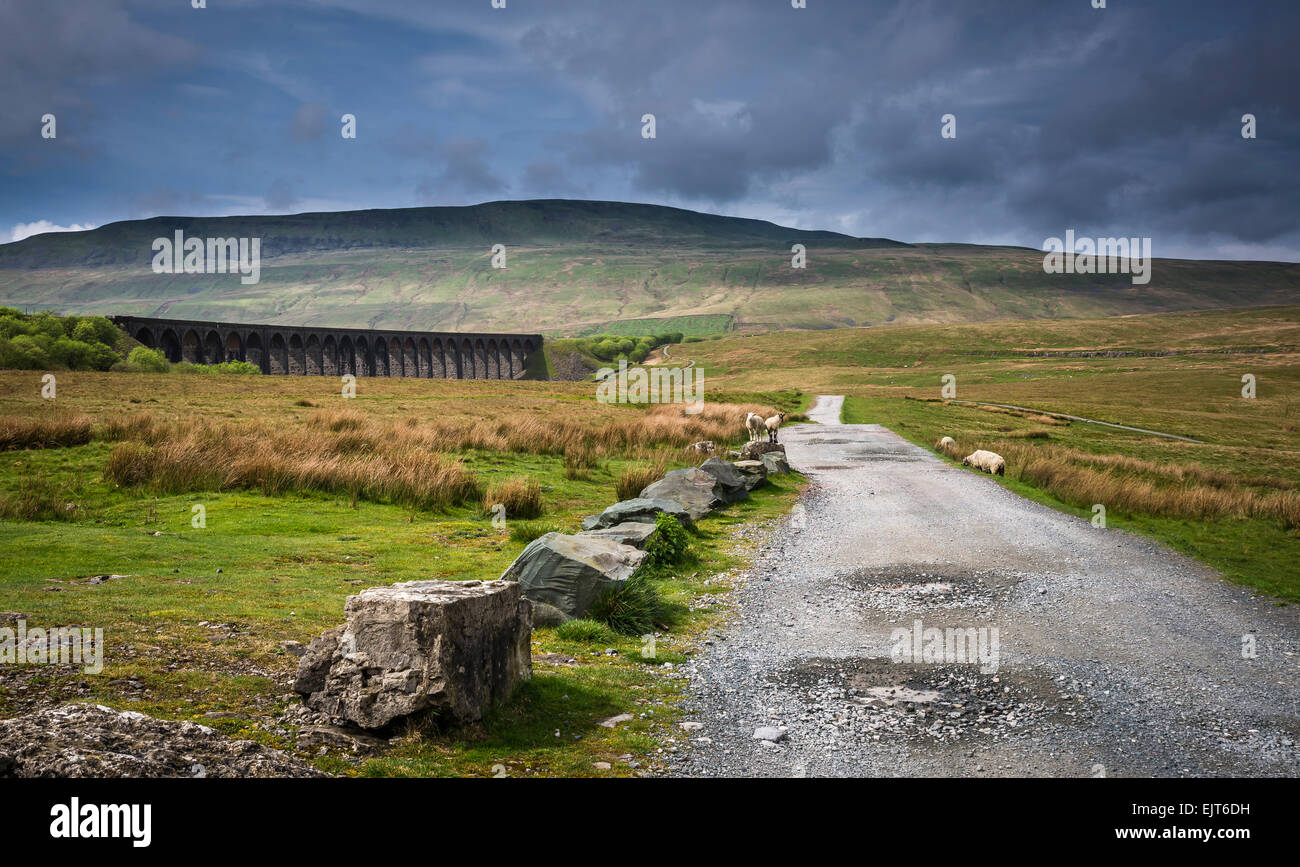Beautiful view of Whernside, one of the three Yorkshire peaks, rising up behind the Ribblehead railway viaduct Stock Photo
