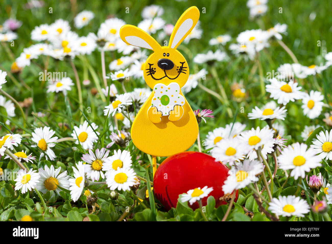 Easter egg decoration in green grass with flowers Stock Photo