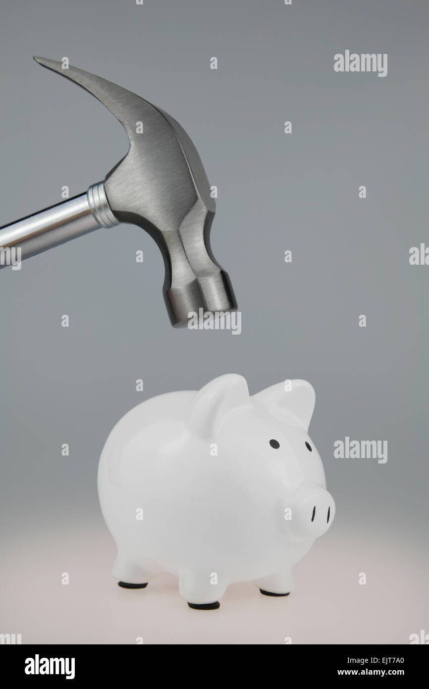 Hammer about to smash a white Piggy Bank Stock Photo - Alamy