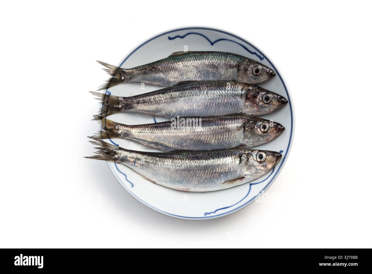 fresh herring in a plate, from Richmond BC Canada Stock Photo