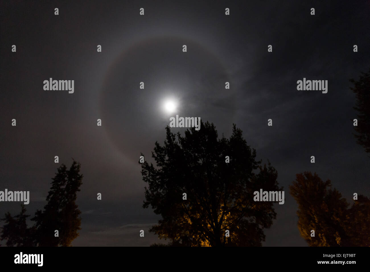 Natural phenomenon in the night sky. Moon halo. in vancouver canada Stock Photo