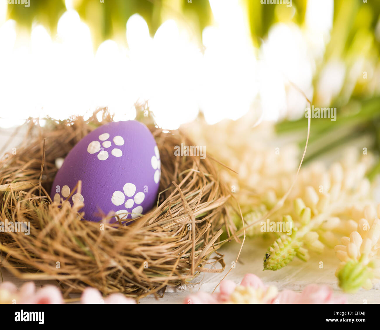 Easter Eggs with Nest Stock Photo
