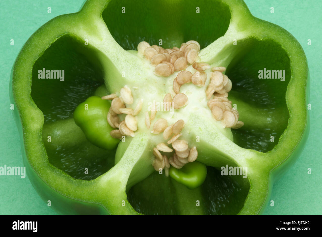 Green Bell Pepper on a green background Stock Photo