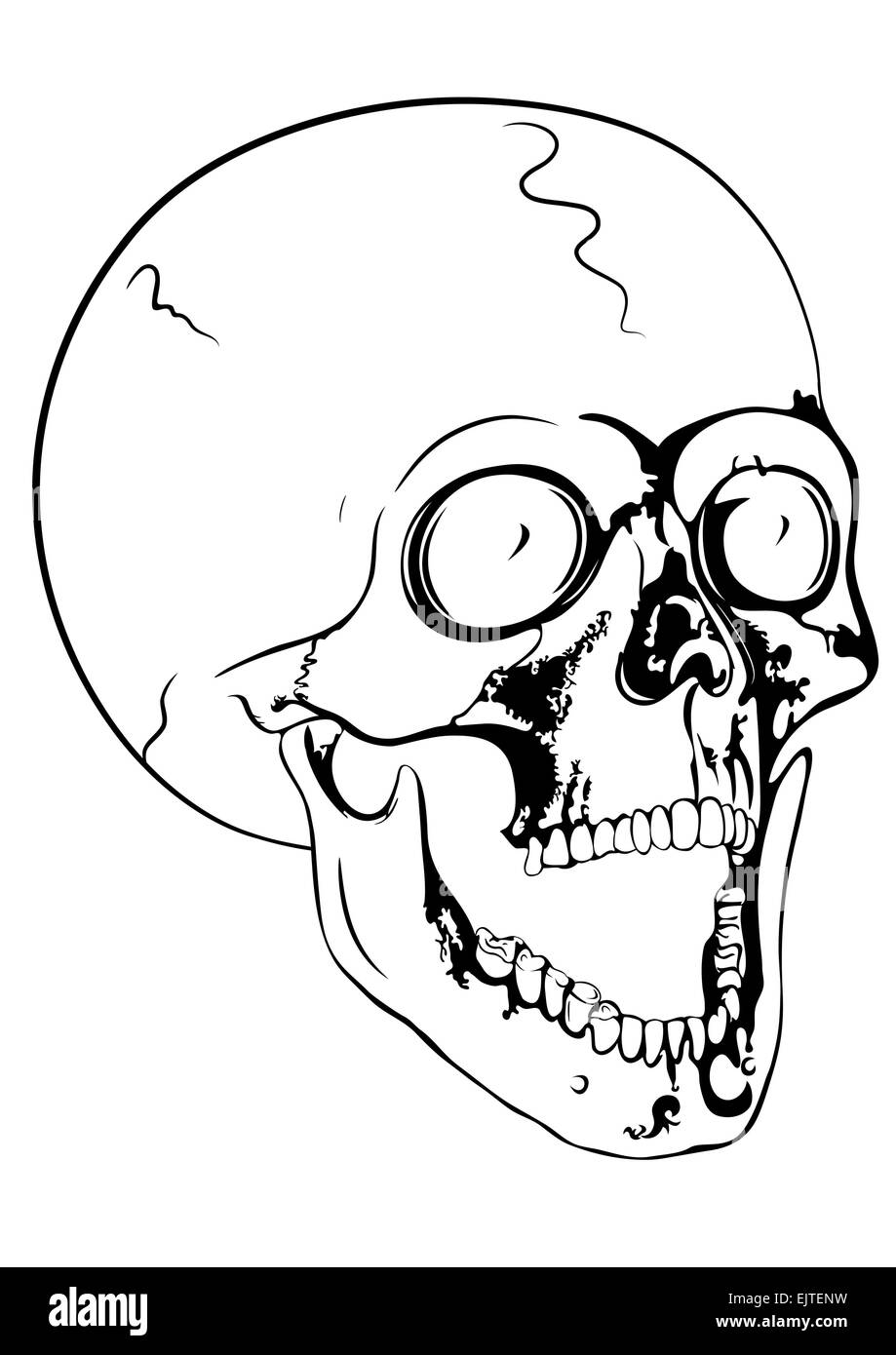 Vector illustration of the screaming skull Stock Vector