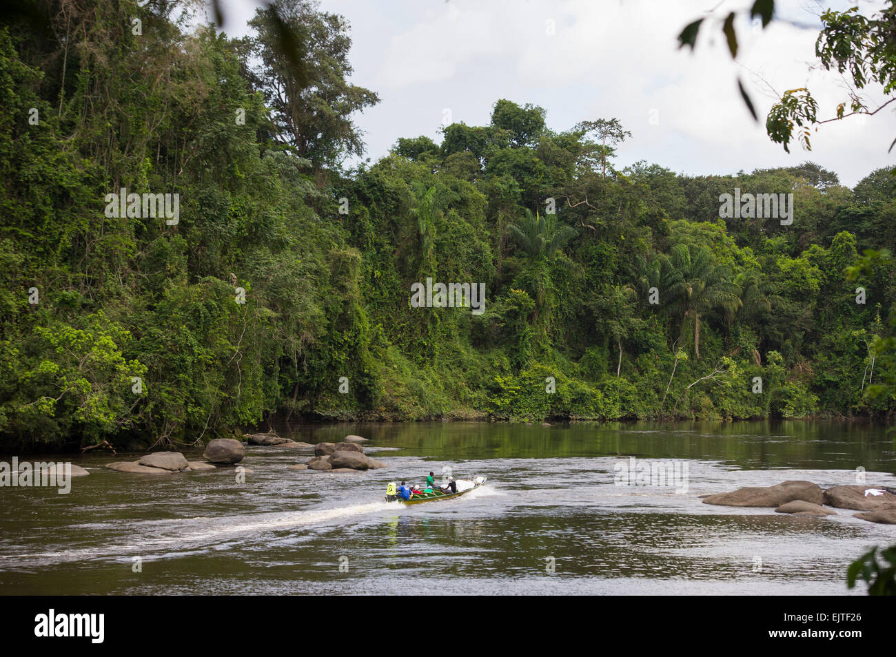 Boat on the Upper Suriname River, Suriname Stock Photo