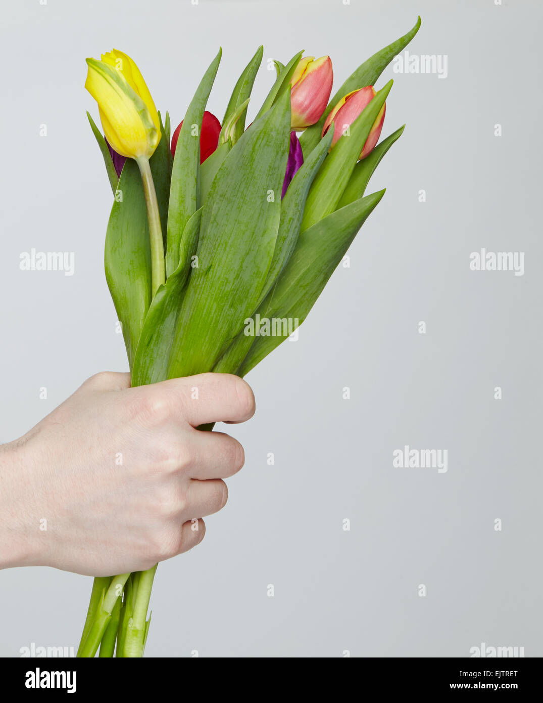 Male hand giving flowers Stock Photo