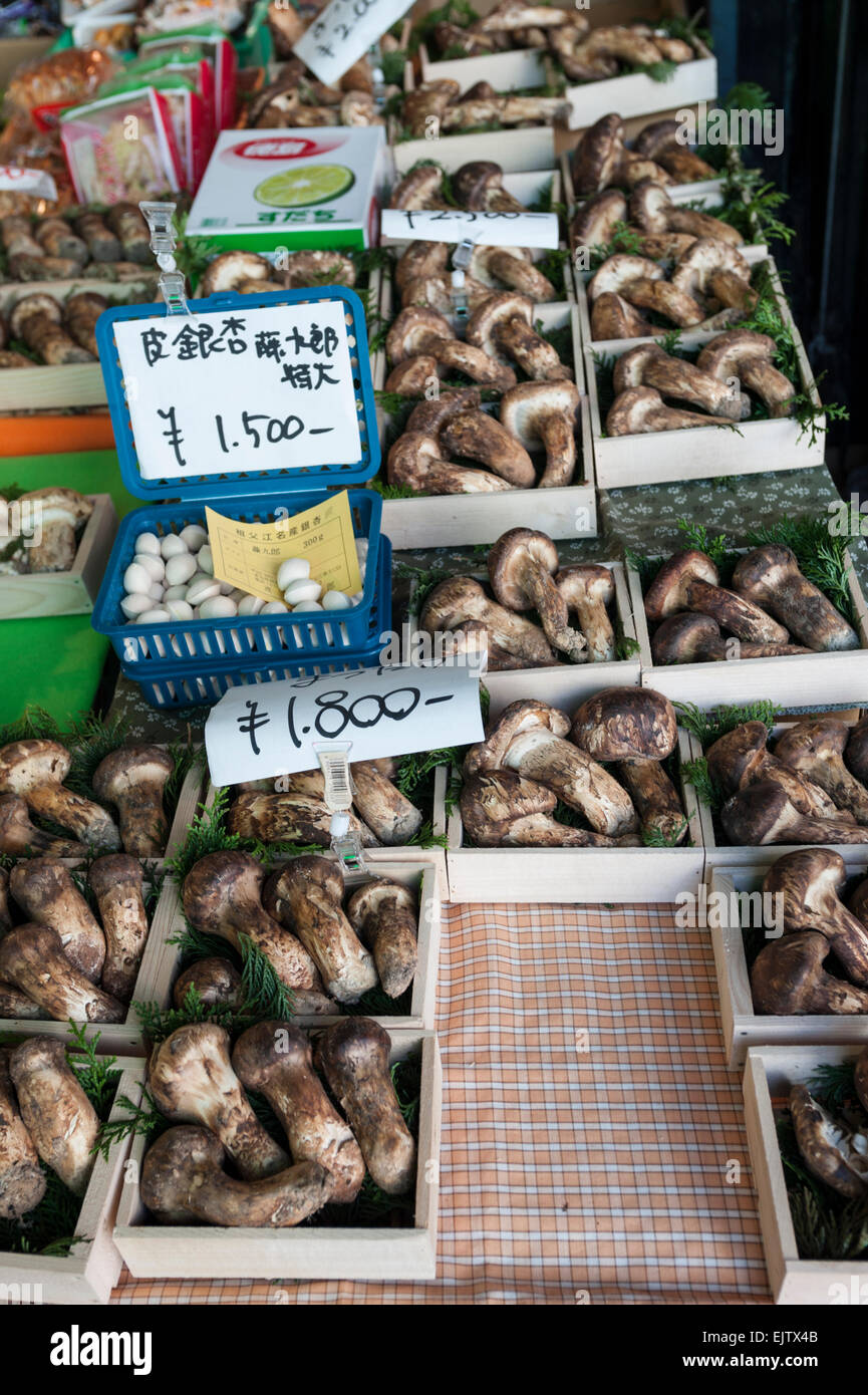 Prized Matsutake mushrooms are displayed along with ginko nuts (ginnan) at a stall at Tsukiji wholesale market, Tokyo, Japan. Stock Photo