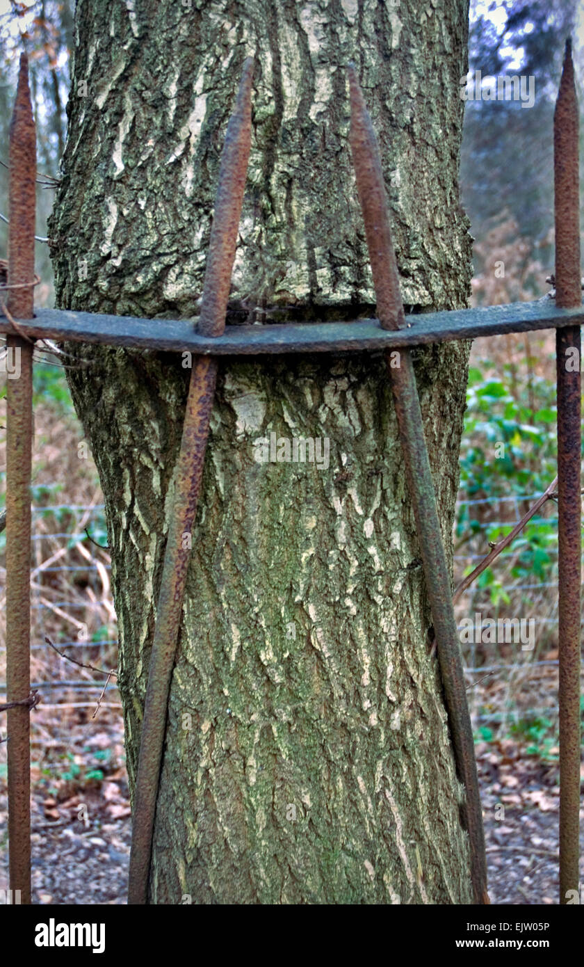 Metal railings hi-res stock photography and images - Alamy