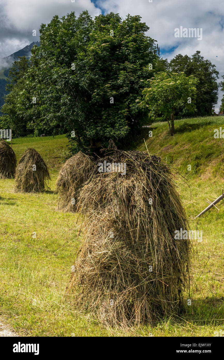 Hay ricks hires stock photography and images Alamy