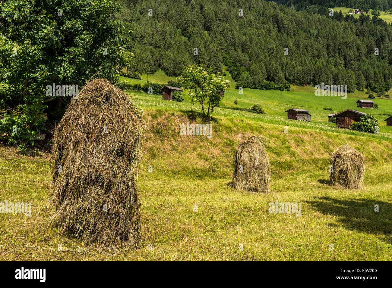 Hay ricks hires stock photography and images Alamy