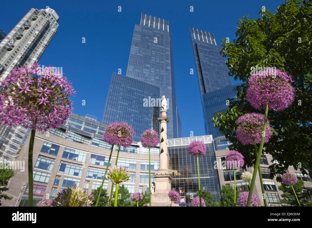 ALLIUM FLOWERS DEUTSCHE BANK CENTER (©SOM 2004) COLUMBUS CIRCLE MIDTOWN MANHATTAN NEW YORK CITY USA Stock Photo