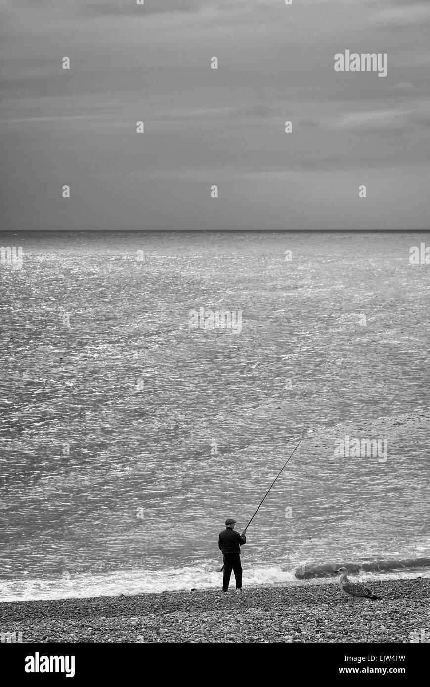 Black and white sea angler hi-res stock photography and images - Alamy