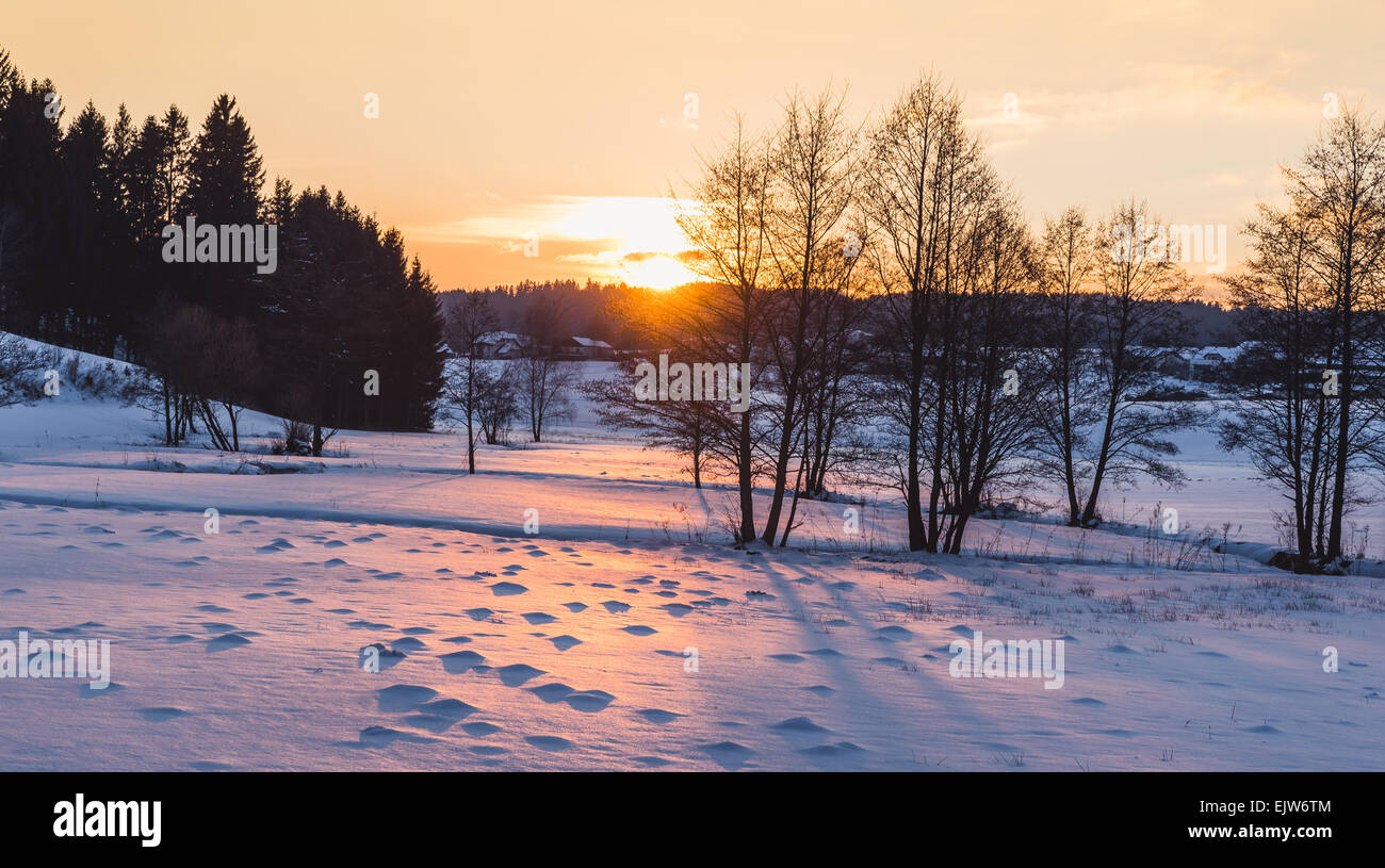Winter landscape in forest field hi-res stock photography and images ...