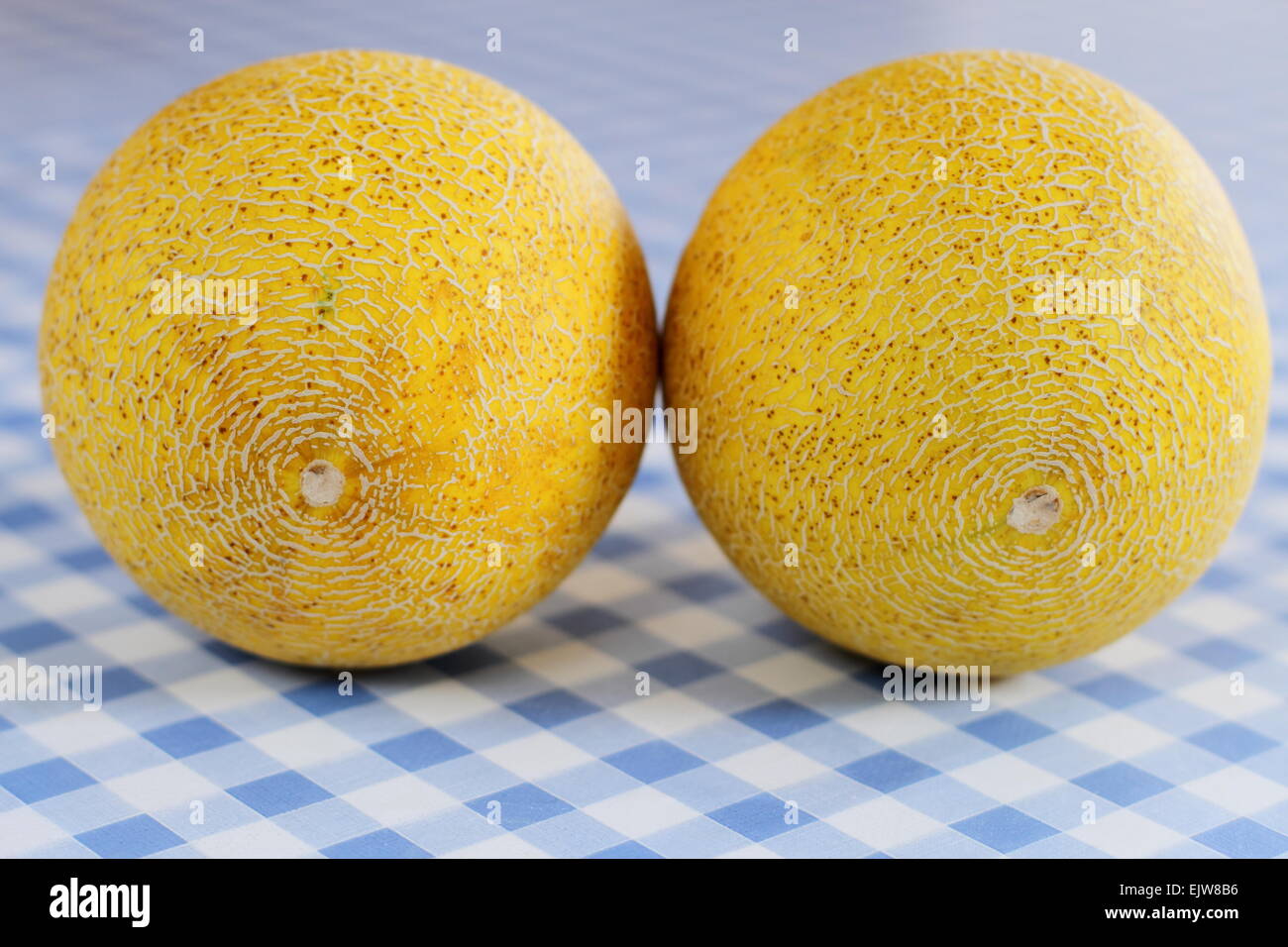 Дыня. Несколько дынь. Туркменские дыни гуляби. Большая и маленькая дыня. Две дыни.